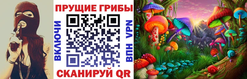 Псилоцибиновые грибы мухоморы  купить закладку  мориарти наркотические препараты  Покачи 